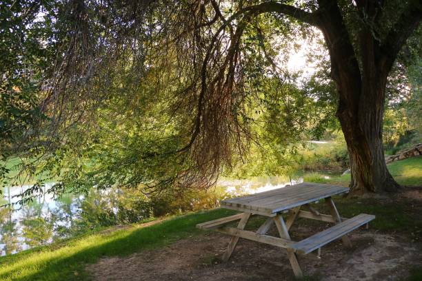 istock Picnic area on the river bank 1709693972