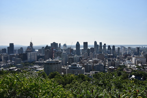 Montreal Downtown in Summer. Clear sky day.