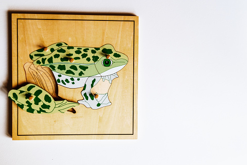 Green ceramic frog figurines. High quality photo