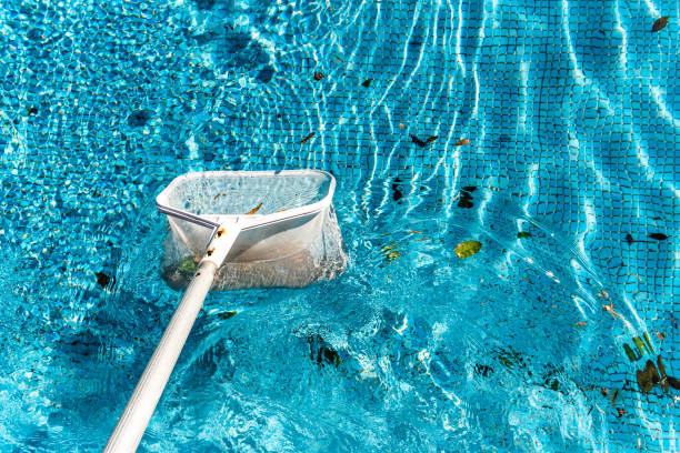 istock Maintenance man using a pool net leaf skimmer rake in summer to leave ready for bathing his pool. 1709754365