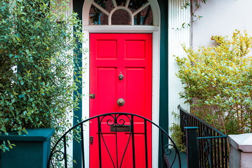 Color image depicting the exterior of a building on a traditional city street in London, UK. The house has a pretty red door which is surrounded by lush foliage.