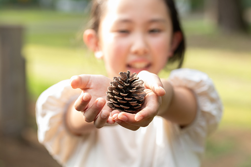 A child holding out a pine cone
