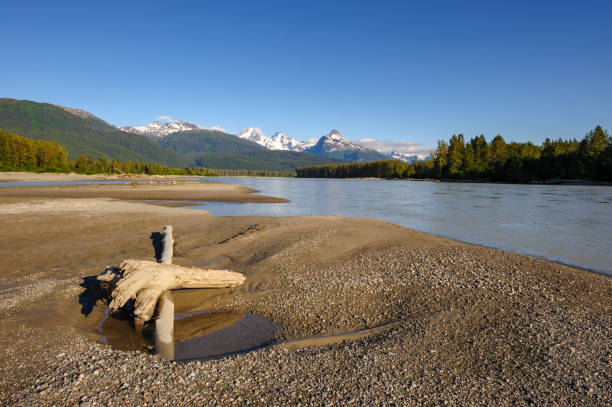 istock Island on Lower Stikine 1709865025