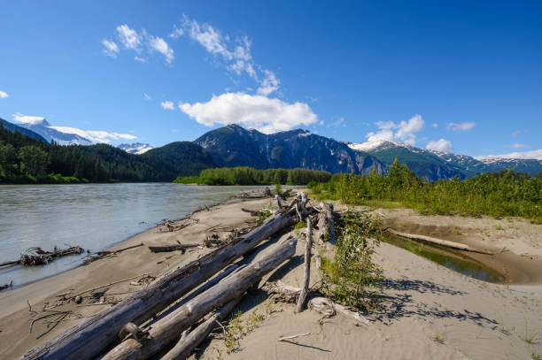 Landscape at lower Stikine river