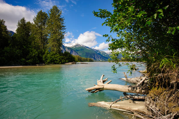 Lower Stikine river in British Columbia, Canada