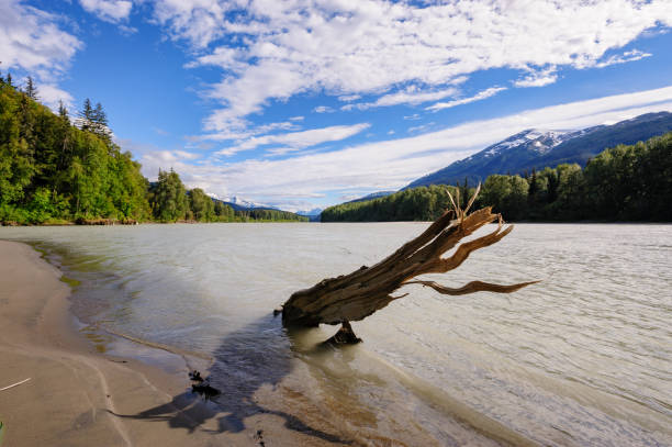 istock Landscape at Lower Stikine river in British Columbia 1709865070
