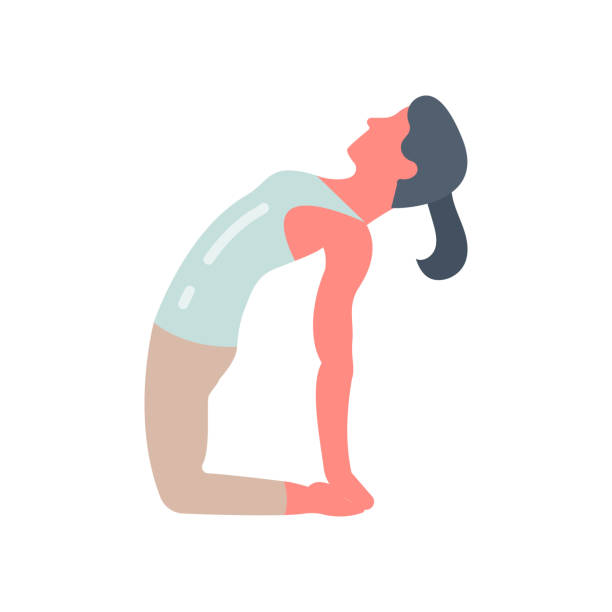 Camel Pose icon in vector. Logotype Camel Pose icon in vector. Logotype ustrasana stock illustrations