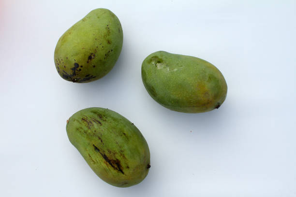 manggo