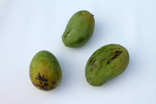 manggo