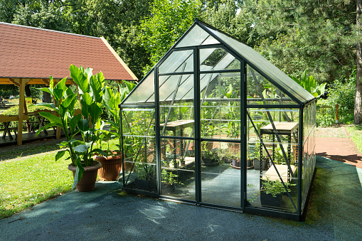Greenhouse in the garden. Glass small compact greenhouse for growing flowers, vegetables, seedlings of various plants. Gardening. Beautiful glass building house in yard. Hobby no dig.