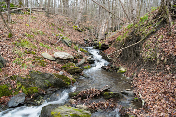 istock Taconic State Park Rudd Pond Millerton New York 1709870753