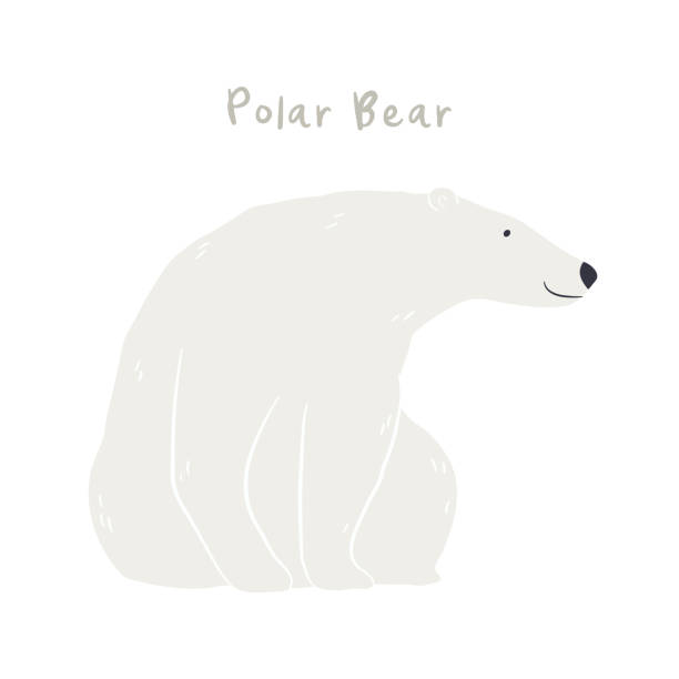 Cute cartoon polar bear, isolated on white Cute cartoon polar bear, isolated on white. Hand drawn vector illustration. Winter animal character. Arctic wildlife, nature. Design concept for kids fashion, textile print, poster, card, baby shower. houses in antarctica stock illustrations
