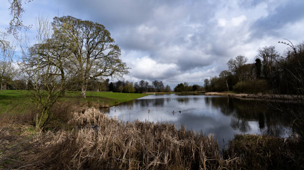 istock Lydial Park Swindon UK Spring March 2023 1709913482