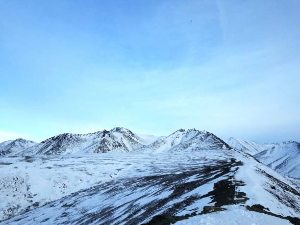 istock Winter in Alaska 1709918625