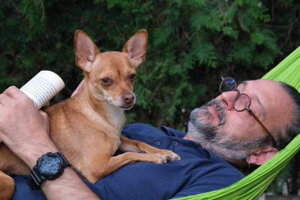 istock Man and his dog in hammock 1709924805