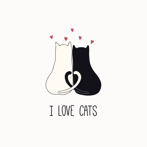 Cute cat doodle with quote Hand drawn vector illustration of a cute funny cats together, hearts, with quote I love cats. Isolated objects on white background. Line drawing. Design concept for poster, t-shirt print. funny ear stock illustrations