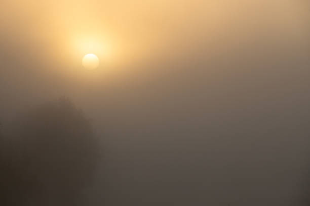 Foggy Morning on the Snohomish River at Lowell Park in Everett Washington, at dawn during the late summer
