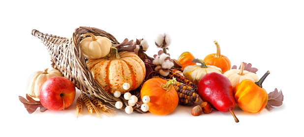 Thanksgiving harvest cornucopia filled with autumn fruits and vegetables. Side view isolated on a white background.
