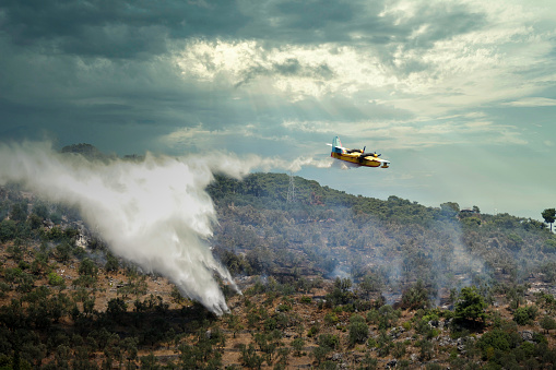 Firefighter airplane dumping water on forest fire