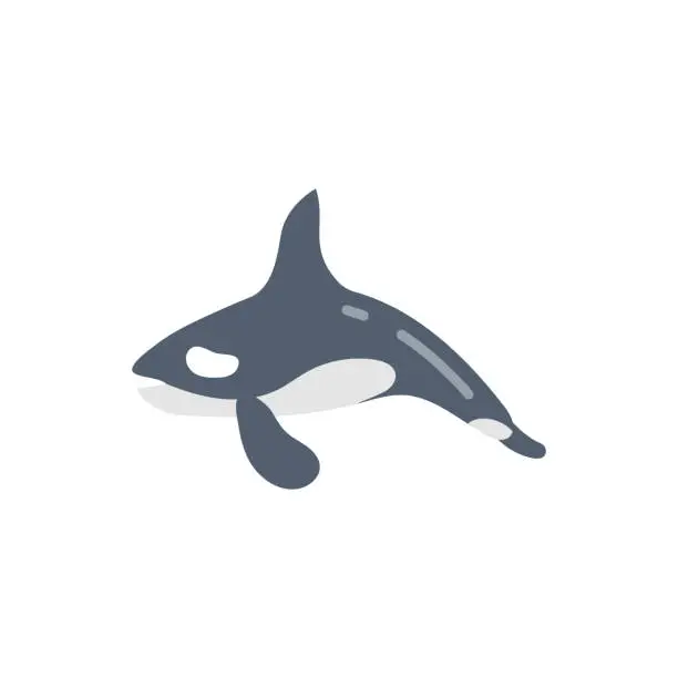 Vector illustration of Orca Whale icon in vector. Logotype