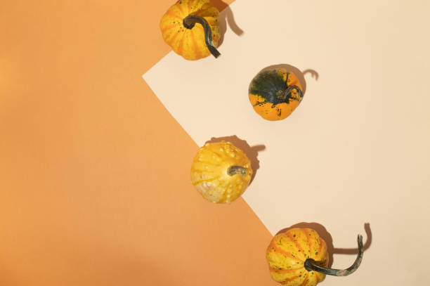 Creative autumnal composition with squash on orange and beige background. Minimal still life. Flat lay, copy space.