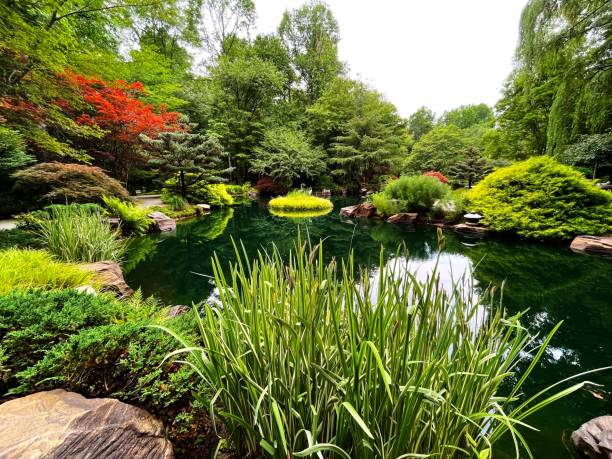 Colorful Japanese Garden