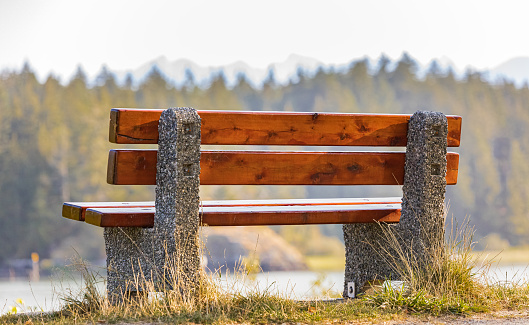 Wooden bench in the park in autumn, Zatonie Dolne, Poland