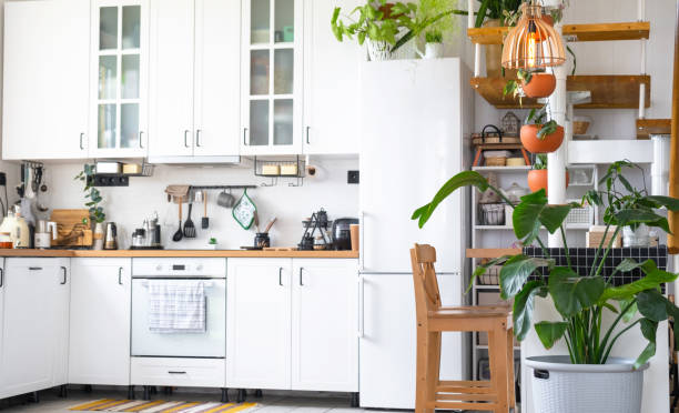 le plan général d’une cuisine rustique moderne blanc clair avec un escalier métallique modulaire décoré de plantes en pot. intérieur d’une maison avec des plantes d’intérieur - modular home interior residential structure housing development photos et images de collection