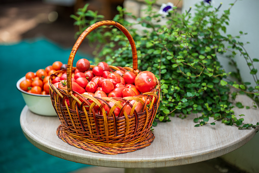 A table with a variety of baskets and bowls filled with ripe tomatoes