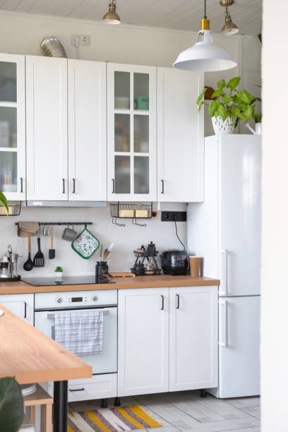 cocina rústica moderna de color blanco claro decorada con plantas en macetas, utensilios de cocina estilo loft. interior de una casa con plantas caseras - modular home interior residential structure housing development fotografías e imágenes de stock