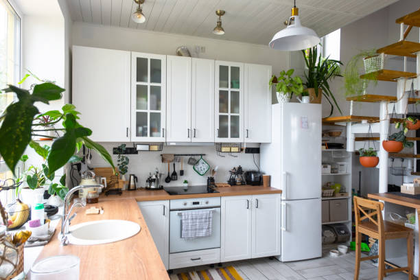 istock The general plan of a light white modern rustic kitchen with a modular metal staircase decorated with potted plants. Interior of a house with homeplants 1710132299