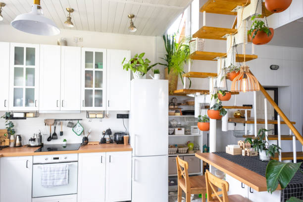 el plan general de una cocina rústica moderna de color blanco claro con una escalera metálica modular decorada con plantas en macetas. interior de una casa con plantas caseras - modular home interior residential structure housing development fotografías e imágenes de stock