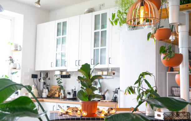 a planta geral de uma cozinha rústica moderna branca clara com uma escada modular de metal decorada com vasos de plantas. interior de uma casa com plantas caseiras - modular housing development home interior house - fotografias e filmes do acervo