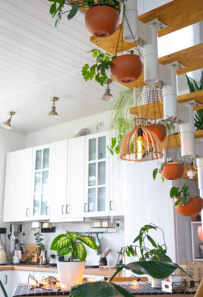 el plan general de una cocina rústica moderna de color blanco claro con una escalera metálica modular decorada con plantas en macetas. interior de una casa con plantas caseras - modular home interior residential structure housing development fotografías e imágenes de stock