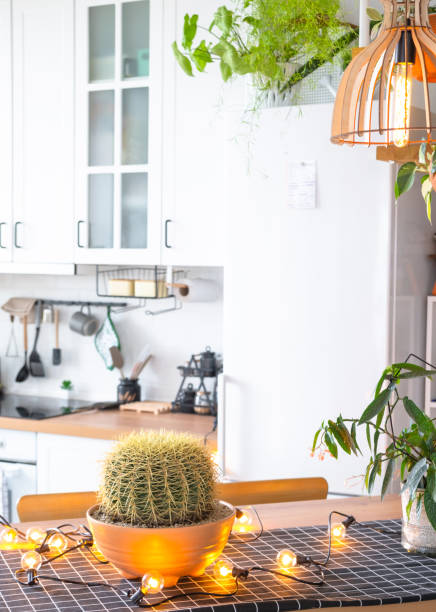 cocina rústica moderna de color blanco claro decorada con plantas en macetas, utensilios de cocina estilo loft. interior de una casa con plantas caseras - modular home interior residential structure housing development fotografías e imágenes de stock