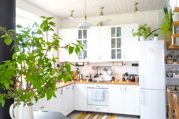 istock Light white modern rustic kitchen decorated with potted plants, loft-style kitchen utensils. Interior of a house with homeplants 1710132867