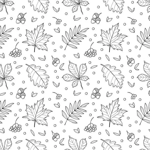 Vector illustration of Black and white autumn seamless pattern with falling leaves in doodle style. Good for wrapping paper, textile prints, stationery, nursery decor, apparel, scrapbooking