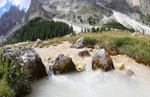 panorama of VENEGIA VALLEY in the European Alps and the stream of pure spring water