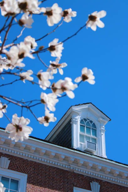 Shaffer Hall Johns Hopkins University