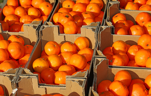 clementines or tangerines for sale in boxes in the stall