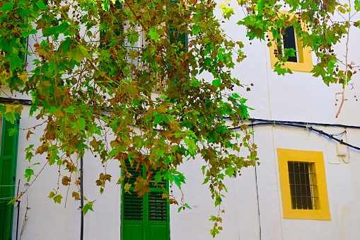 The island of Ibiza, capital Formentera, and Dali Vila (upper old town).