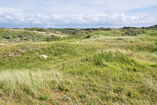 Berkheide dunes south of Katwijk aan Zee, Netherlands