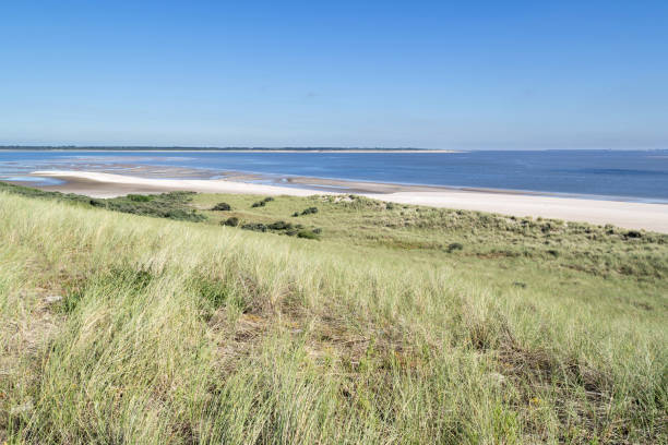 istock artificial Maasvlakte beach near Rotterdam, Netherlands 1710220344