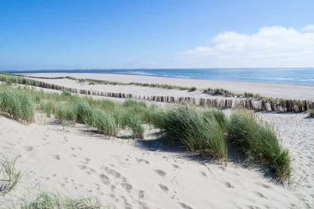 istock artificial Maasvlakte beach near Rotterdam, Netherlands 1710220347