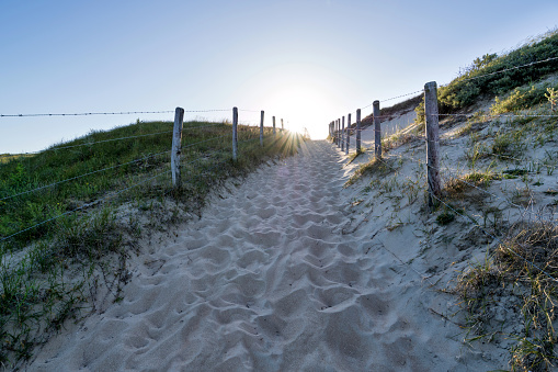 sandy path through the dunes