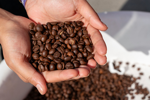 Coffee Bean, Human Hand, Top View