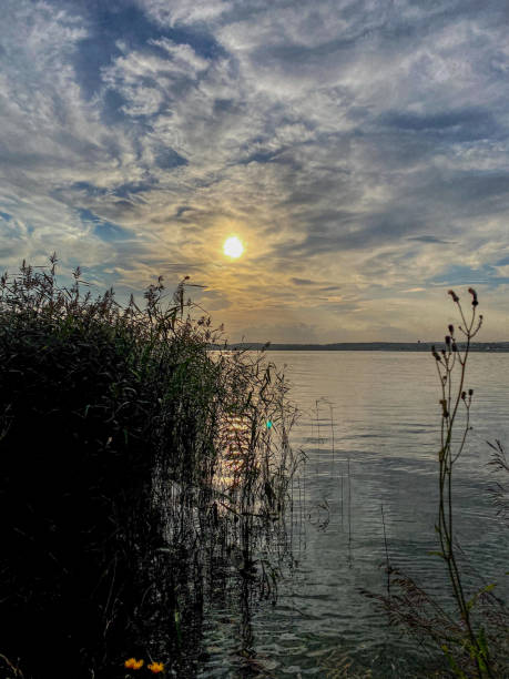istock Sunset on the lake with grass and sun in the background. 1710246371