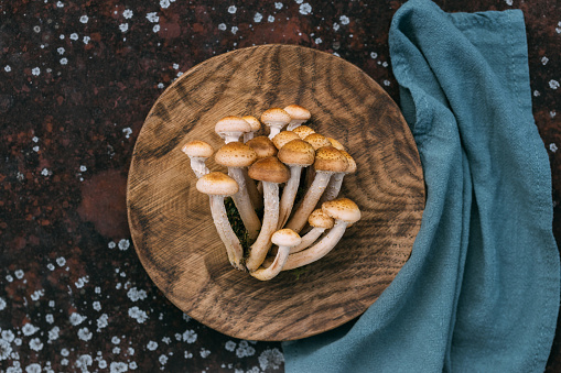 Beautiful delicious mushrooms in a wooden plate with a blue napkin. Armillaria mellea, honey fungus or honey agarics. Beautiful mushroom background. Top view, flat lay.