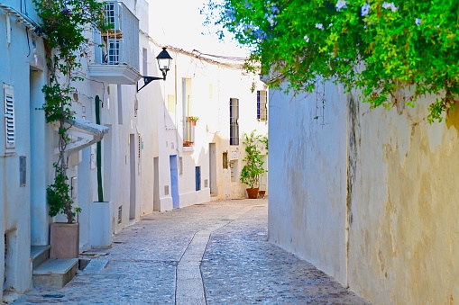 The island of Ibiza, capital Formentera, and Dali Vila (upper old town).