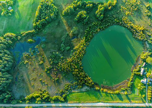 Aerial view of a lake in the forests of Lithuania, wild nature. The name of the lake is \